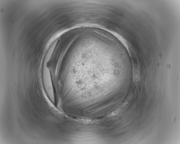 X0000087550911200705112118