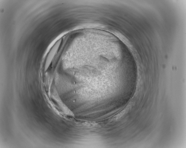 X0000087550912200705112118