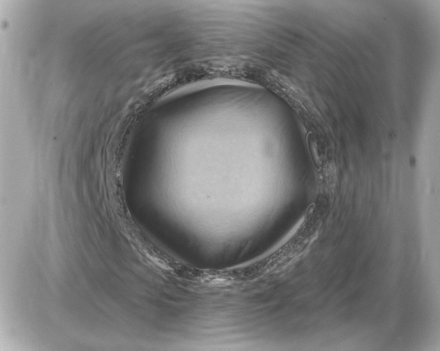 X0000087550913200705112117