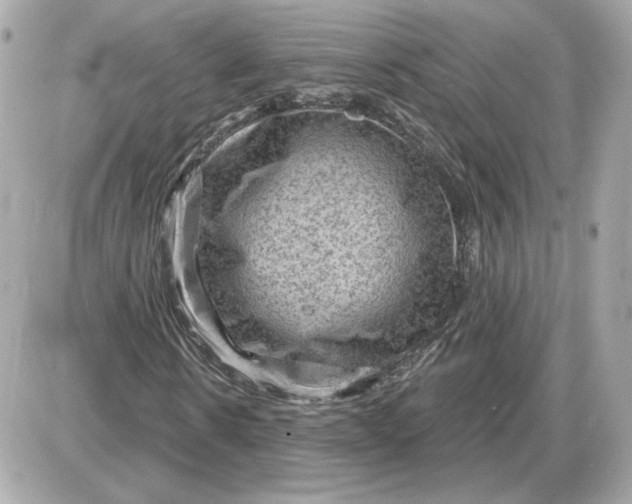 X0000087550914200705112117