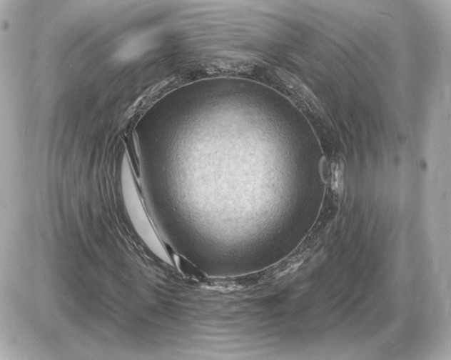 X0000087550915200705112117