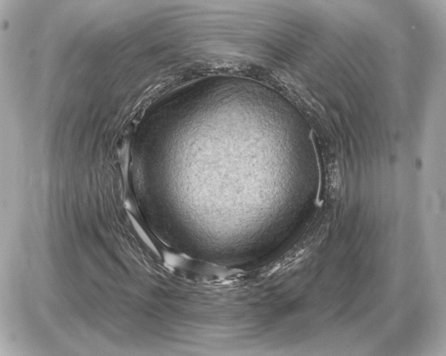 X0000087550916200705112117