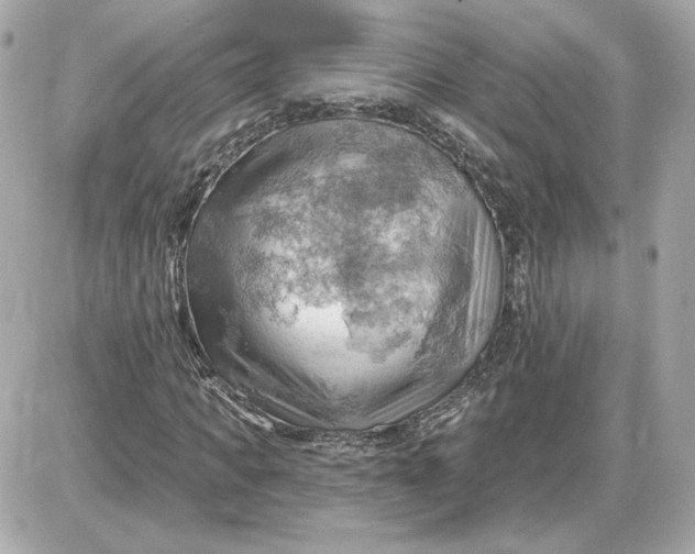 X0000087550917200705112117