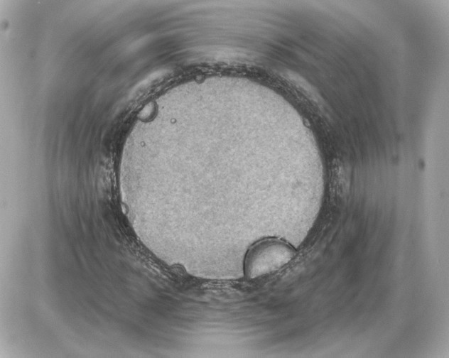 X0000087550918200705112117