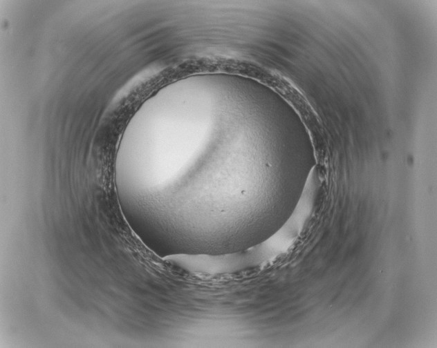 X0000087550919200705112117