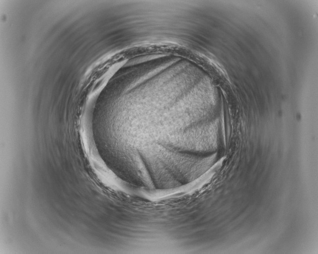 X0000087550920200705112117