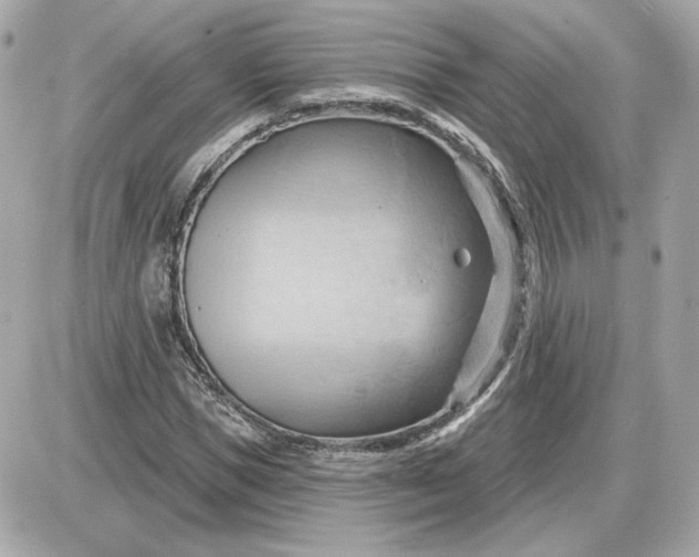 X0000087550921200705112117