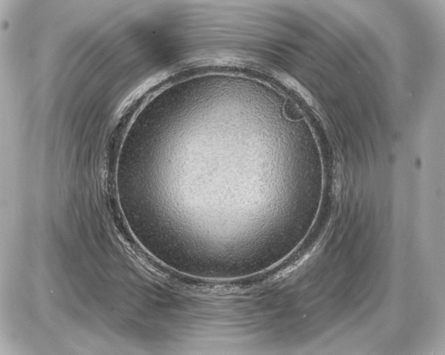 X0000087550922200705112117