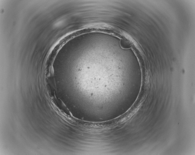 X0000087550923200705112117