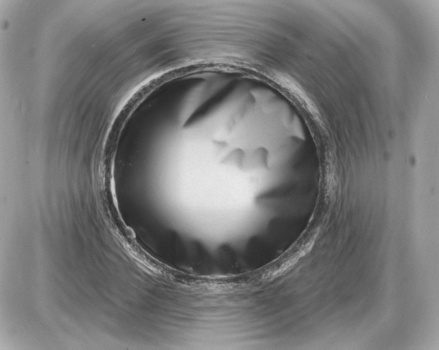 X0000087550924200705112117