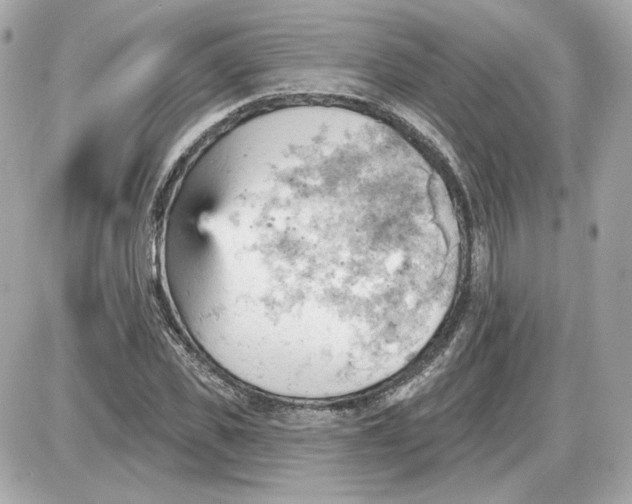 X0000087550925200705112117