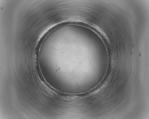 X0000087550926200705112118