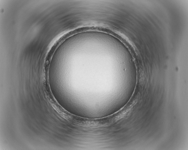 X0000087550927200705112118