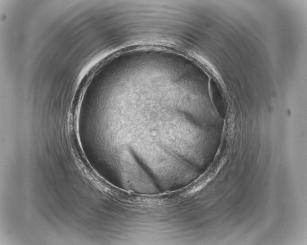 X0000087550928200705112118