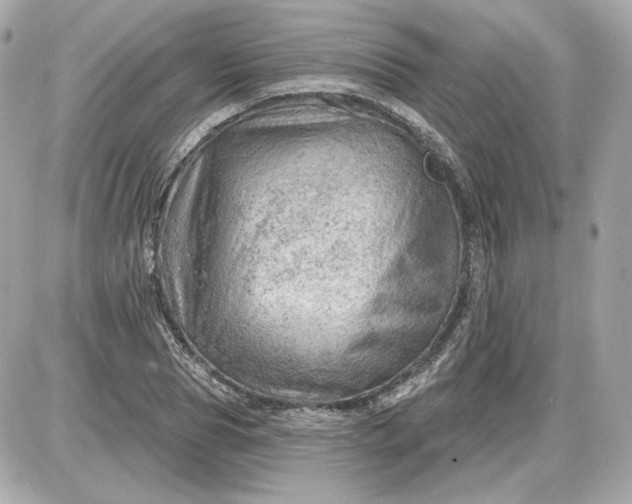 X0000087550929200705112118