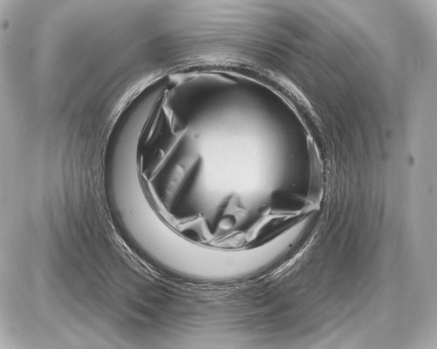 X0000087550930200705112118