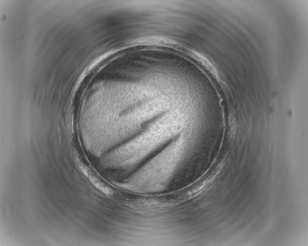 X0000087550931200705112118