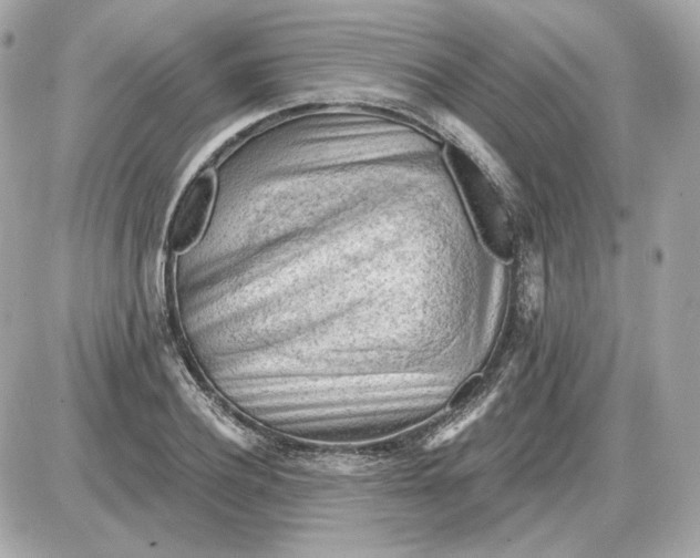 X0000087550932200705112118