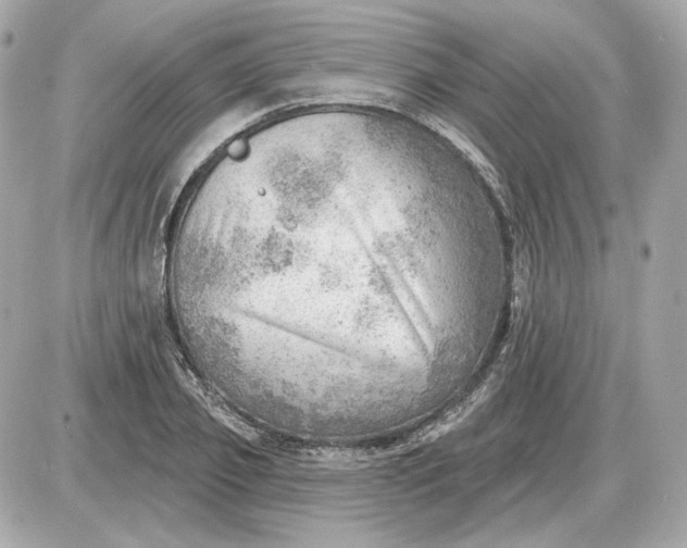 X0000087550933200705112118