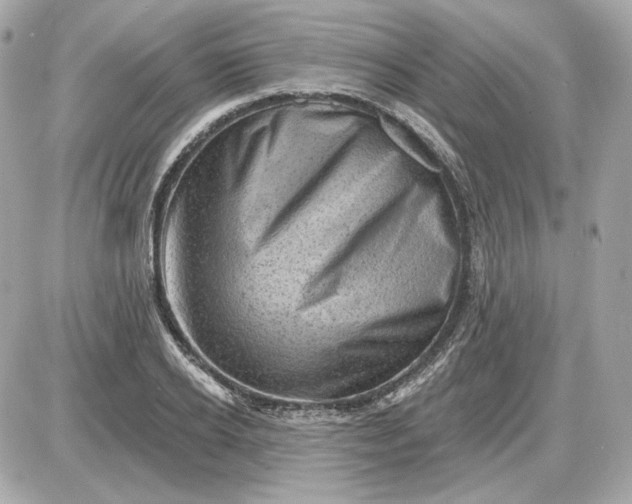 X0000087550934200705112118