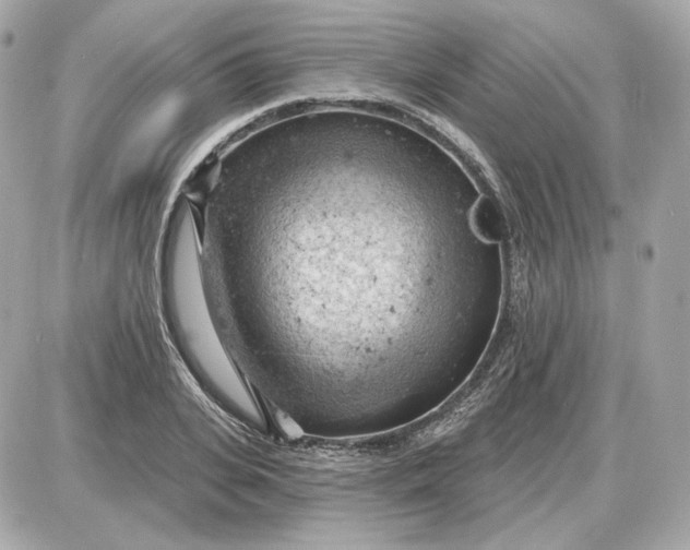 X0000087550935200705112118