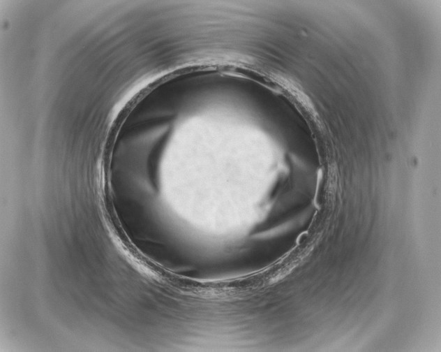 X0000087550936200705112118