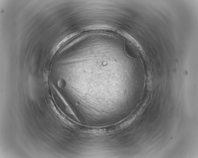 X0000087550937200705112118