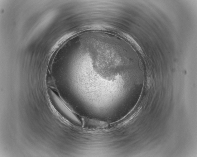 X0000087550938200705112118