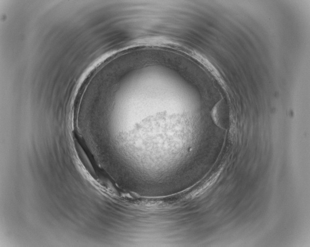 X0000087550939200705112118