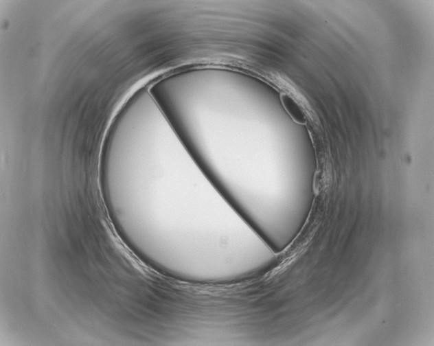 X0000087550940200705112118