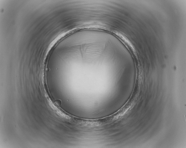 X0000087550941200705112118