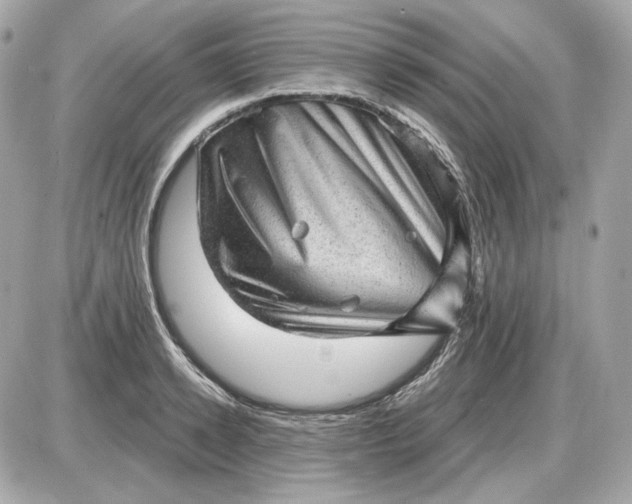 X0000087550942200705112118