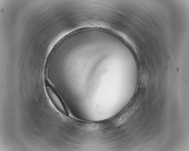 X0000087550943200705112118