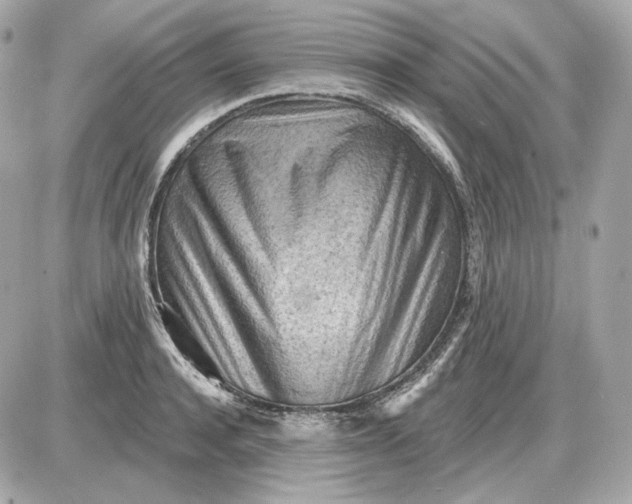 X0000087550944200705112118