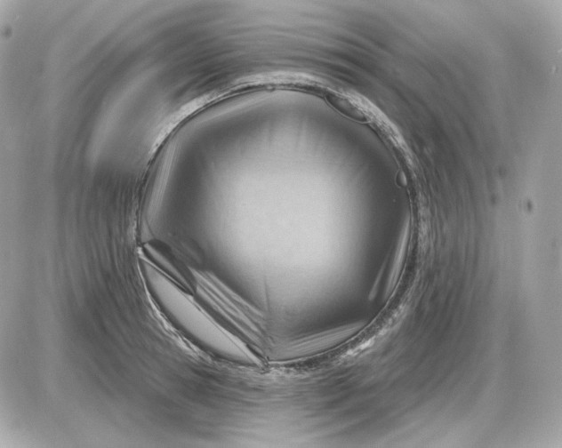 X0000087550945200705112118