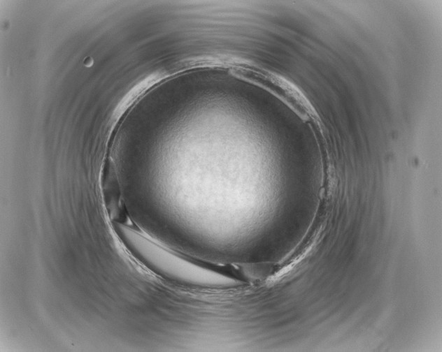 X0000087550946200705112118