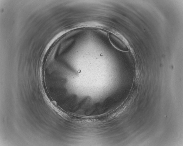 X0000087550947200705112118