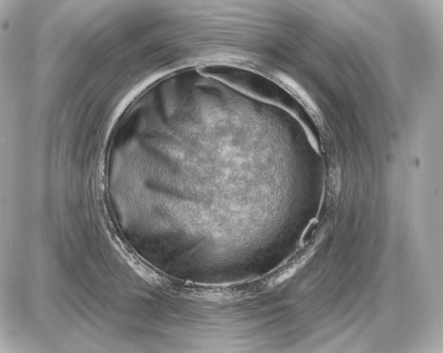 X0000087550948200705112118