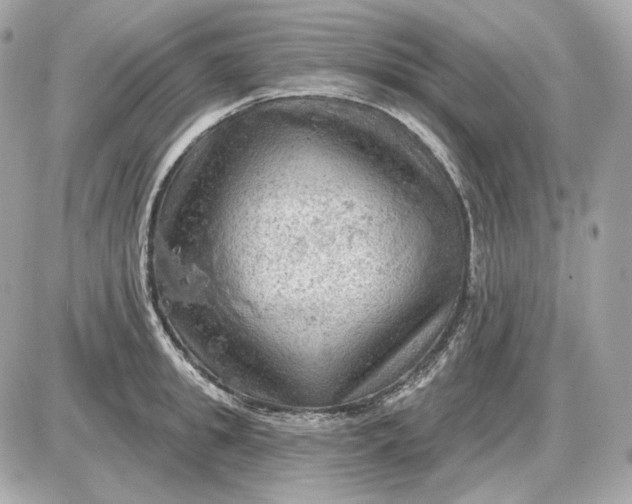 X0000087550949200705112118