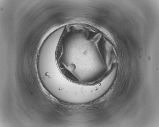 X0000087550950200705112118