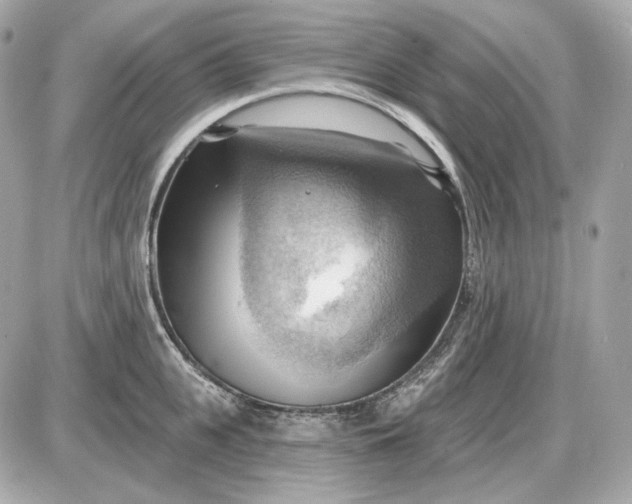 X0000087550951200705112118