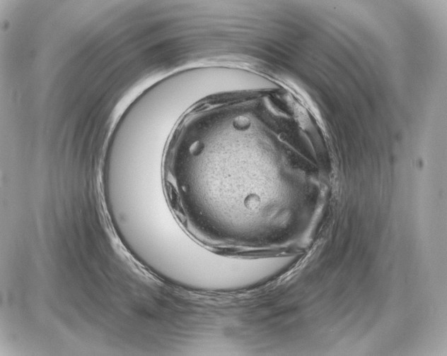 X0000087550952200705112118