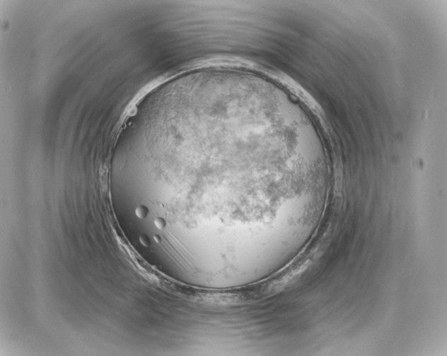 X0000087550953200705112118