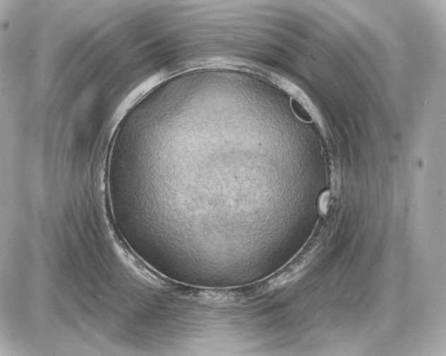 X0000087550954200705112118