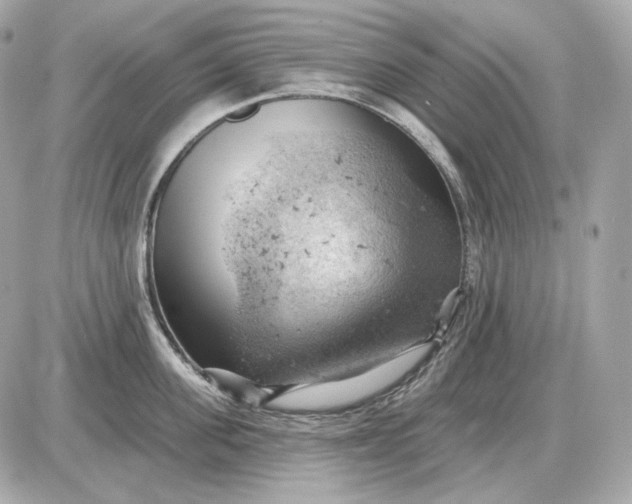 X0000087550955200705112118