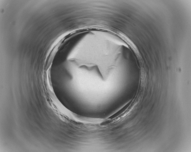 X0000087550956200705112118