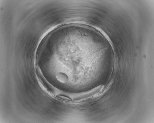 X0000087550957200705112118