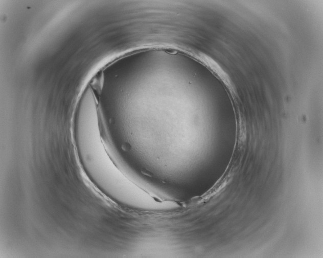 X0000087550958200705112118