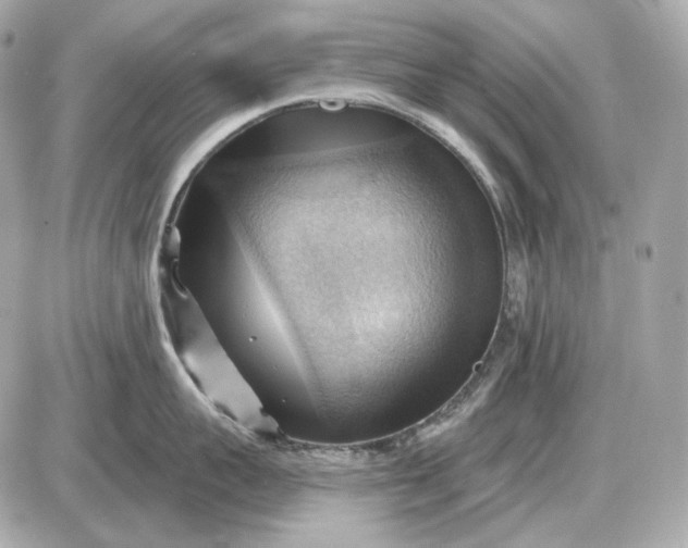 X0000087550959200705112118