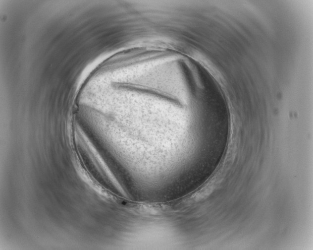 X0000087550960200705112118